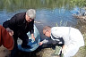 Саратовские ветеринары добирались до пастбищ на лодках