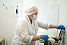 В Саратовской области ребенок и пенсионерка попали в больницу после нападения кошек